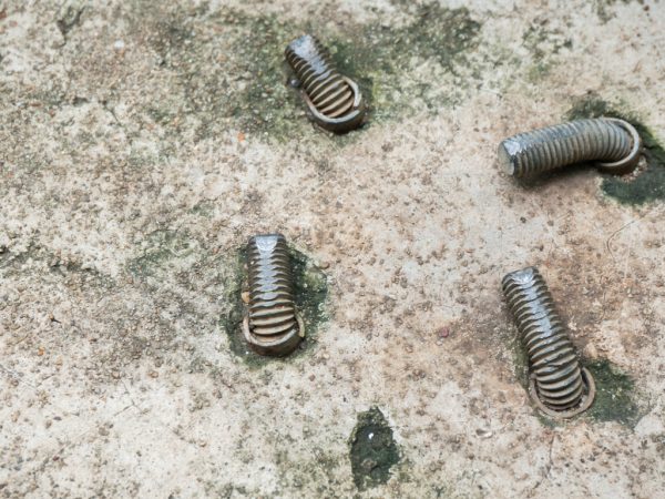 anchor-bolts-1 anchor-bolts-1